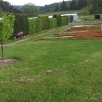 vu d'ensemble de la pépinière du chardon bleu