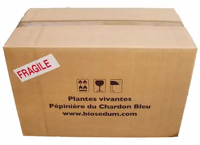 Carton de micro-mottes de sedum préparé pour une livraison par Colissimo