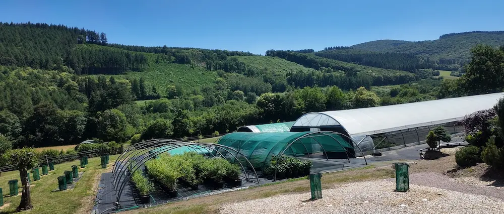 Vue de la Pépinière du Chardon Bleu dans le Morvan