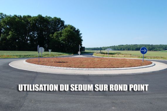 Rond-point végétalisé avec des sedums pour limiter les besoins en eau