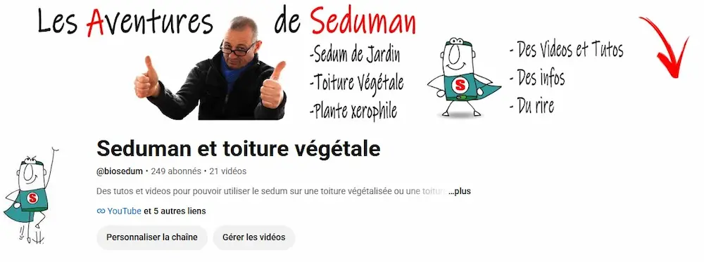 video de sedum et toiture végétalisée